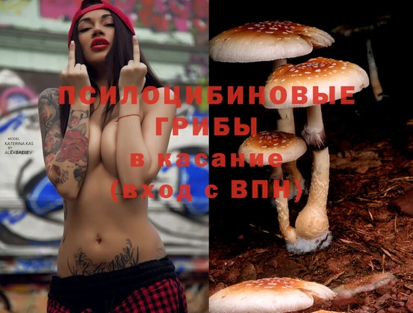 ECSTASY Верхний Тагил